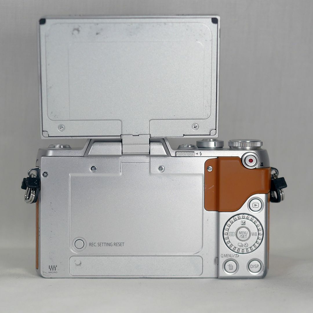 Panasonic Lumix DMC-GF7 ボディ ＋α 7