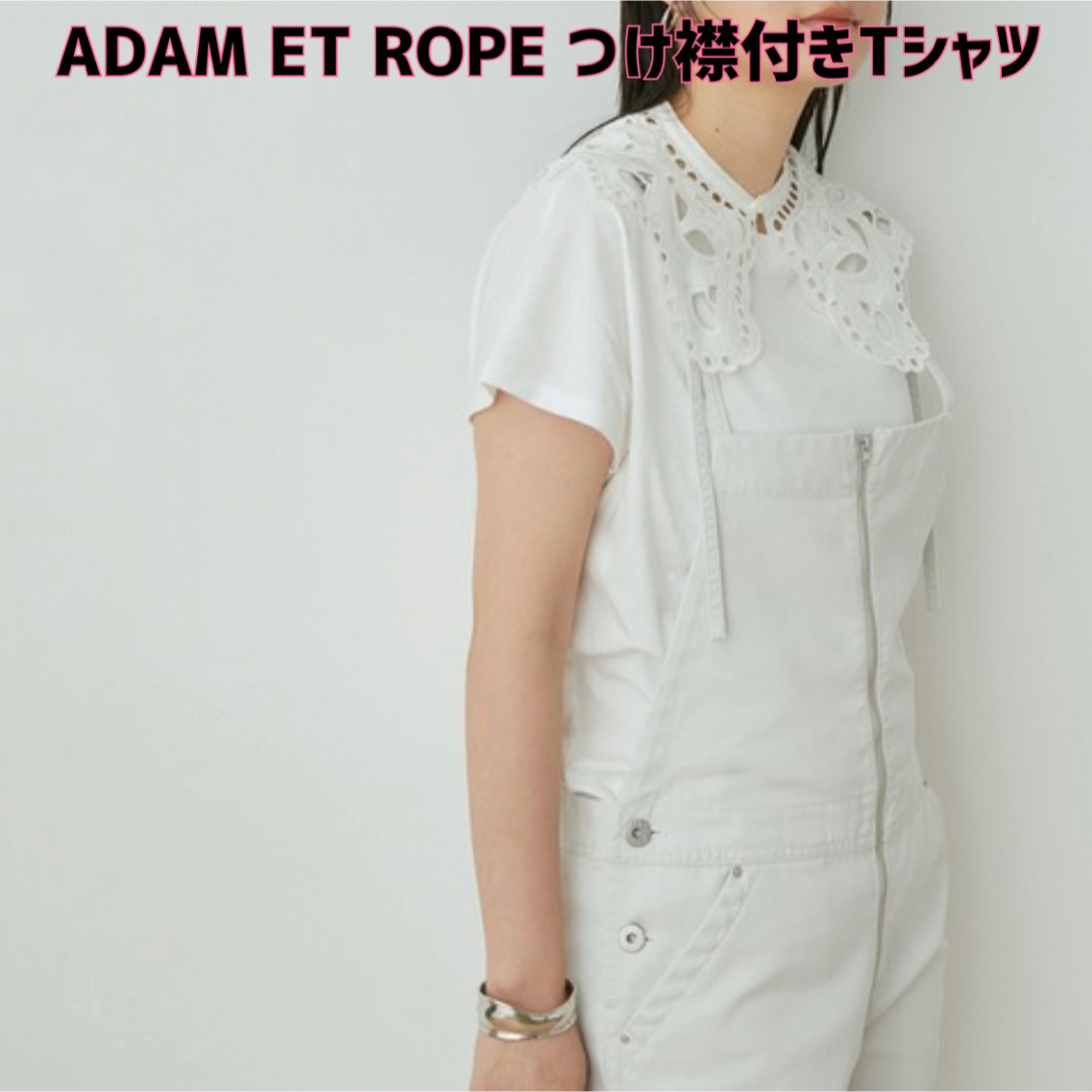 Adam et Rope'(アダムエロぺ)の【新品】ADAM ET ROPÉ FEMME レースカラー付きプルオーバーT レディースのトップス(Tシャツ(半袖/袖なし))の商品写真