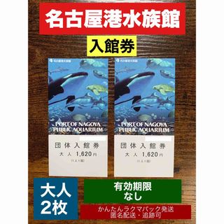 名古屋港水族館　入館券　大人×2枚　有効期限なし　ラクマパック　匿名配送•追跡可(水族館)