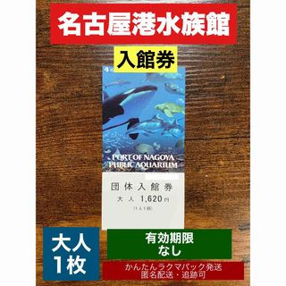 名古屋港水族館　入館券　大人×1枚　有効期限なし　ラクマパック　匿名配送•追跡可(水族館)