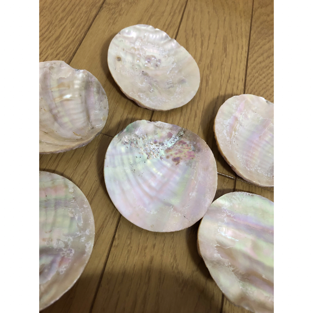 貝殻　シェル　ホタテ　アワビ　アバロンシェル ハンドメイドの素材/材料(各種パーツ)の商品写真