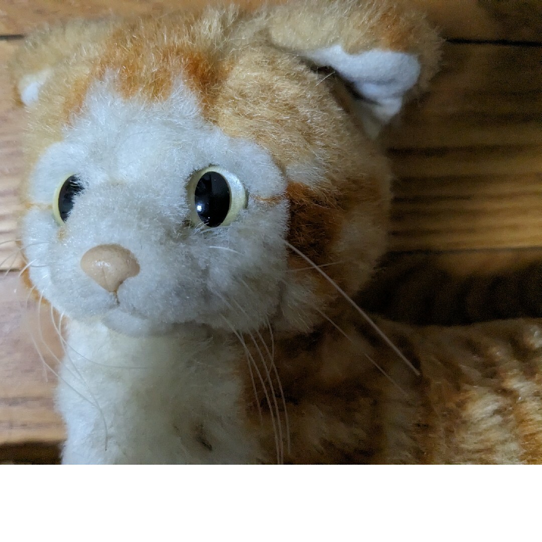 タカラ ミュー 猫 ロボット 茶トラの通販 by マイ's shop|ラクマ タカラ ミュー 猫 ロボット 茶トラの通販 by マイ's shop|ラクマ