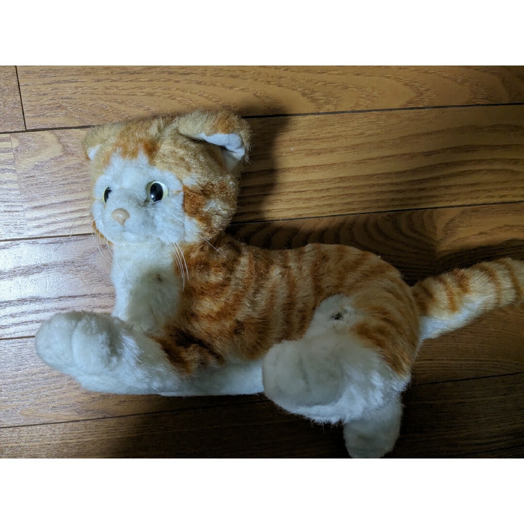 タカラ ミュー 猫 ロボット 茶トラの通販 by マイ's shop|ラクマ タカラ ミュー 猫 ロボット 茶トラの通販 by マイ's shop|ラクマ