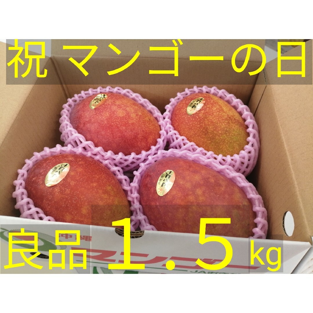 【４００円off】ＪＡおきなわマンゴー良品白箱1.5kg（3〜6玉）【クール便】 食品/飲料/酒の食品(フルーツ)の商品写真