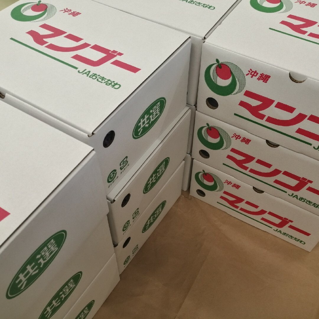 【４００円off】ＪＡおきなわマンゴー良品白箱1.5kg（3〜6玉）【クール便】 食品/飲料/酒の食品(フルーツ)の商品写真