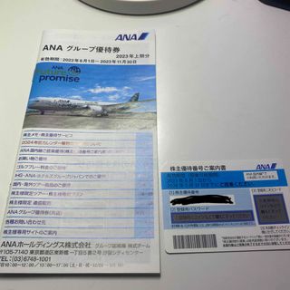 エーエヌエー(ゼンニッポンクウユ)(ANA(全日本空輸))のANA 株主優待券　１枚(その他)