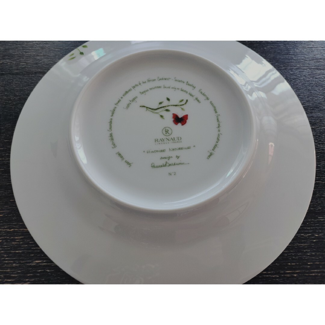 レイノー ヒストリーナチュール プレート 22cm 2枚セット - 食器