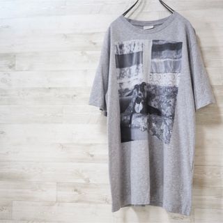 ドリスヴァンノッテン(DRIES VAN NOTEN)のDRIES VAN NOTEN 22SS “Hertz”S/S Tee(Dog)(Tシャツ/カットソー(半袖/袖なし))