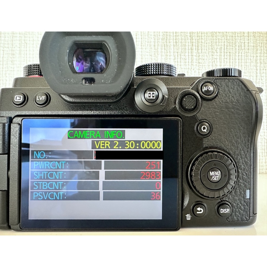 Panasonic DC-S5 ボディのみ ショット数 2983回 | www.fleettracktz.com Panasonic DC-S5 ボディのみ ショット数 2983回 | www.fleettracktz.com