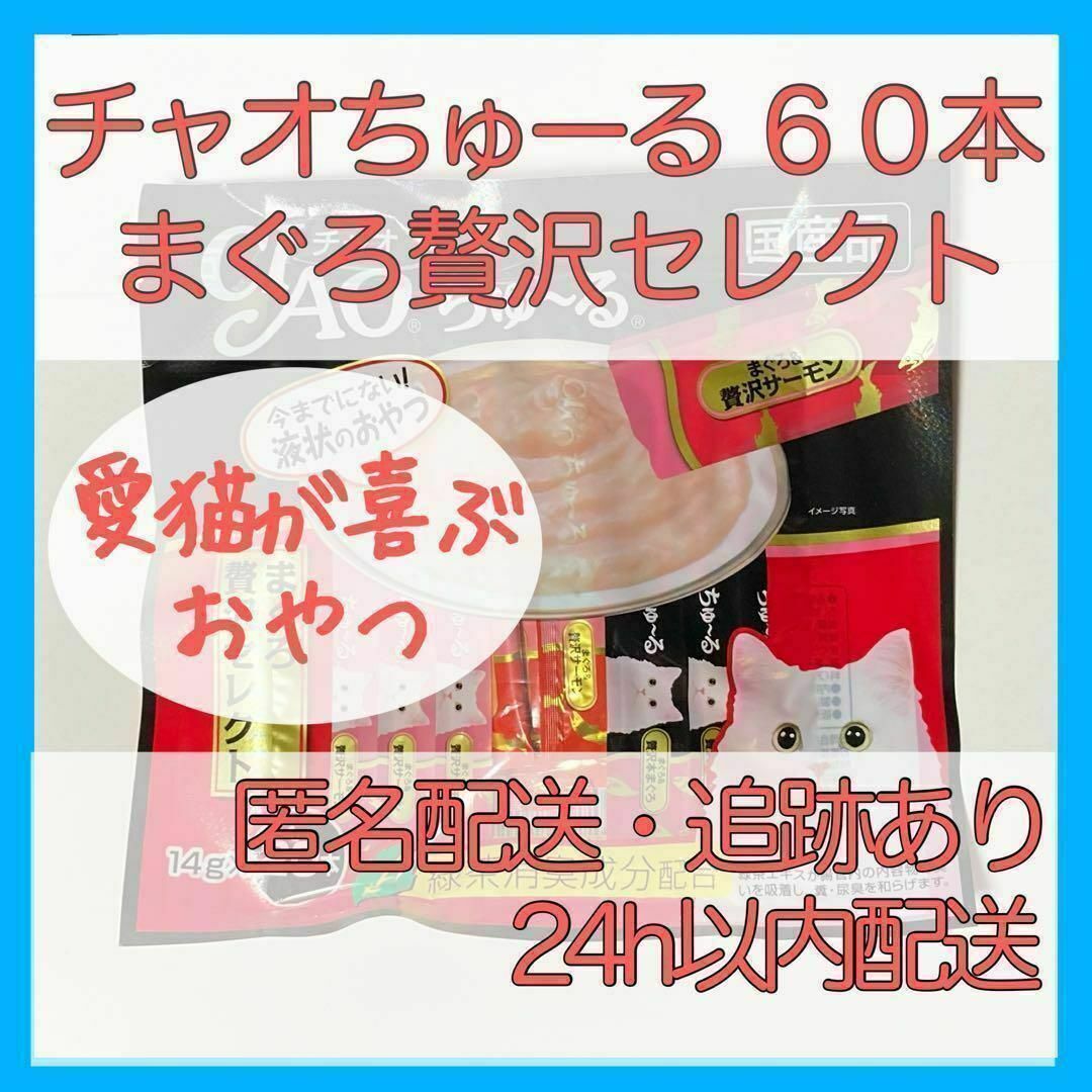 チャオちゅーる まぐろバラエティ60本(20本×3セット)