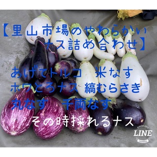 【大阪北摂・無農薬栽培・60サイズ・里山市場のやわらかいナス詰め合わせ】(野菜)