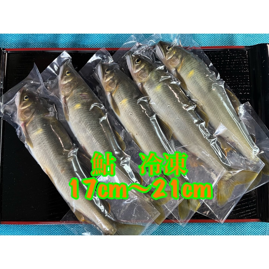 鮎　冷凍　17cm〜21cm  25匹 食品/飲料/酒の食品(魚介)の商品写真