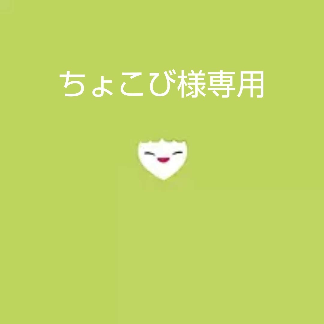ちょこび様専用の通販 by dahyunken's shop|ラクマ
