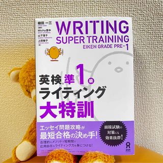 かなり使えます 英検準１級ライティング大特訓(資格/検定)