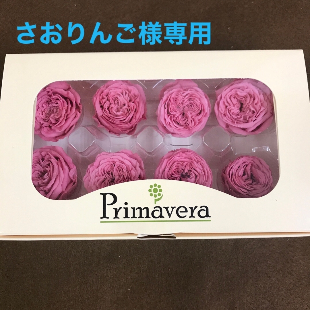 専用ナナガーデンローズのカシスベリーが2箱セットと他 - フラワー