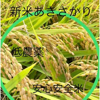 低農薬　令和4年産あきさかり　玄米10キロ(米/穀物)