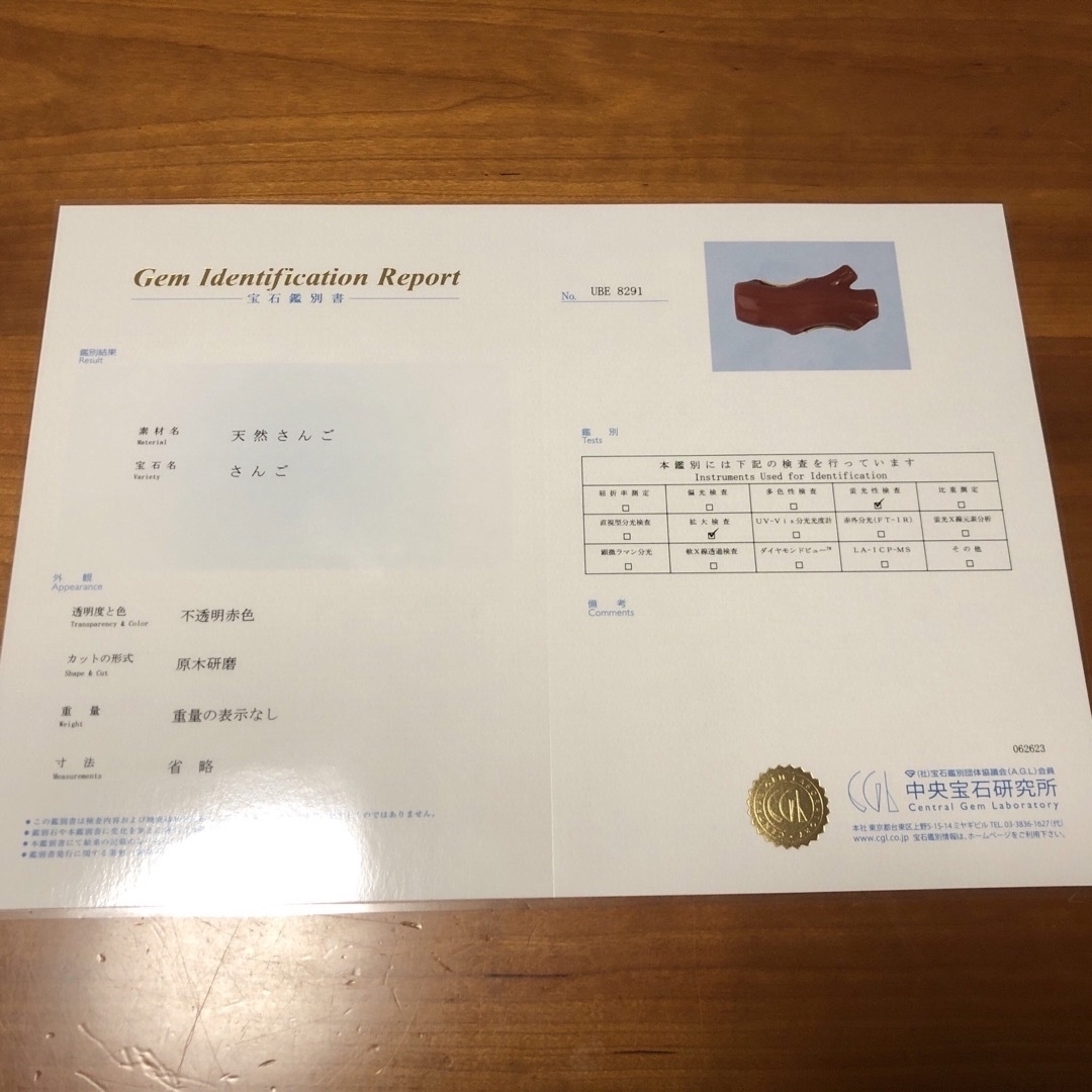 赤珊瑚 帯留め K18 アンティーク ヴィンテージ 鑑別書有りますの通販