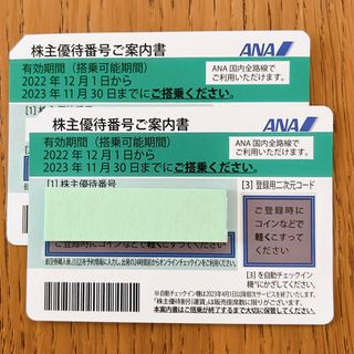 エーエヌエー(ゼンニッポンクウユ)(ANA(全日本空輸))の★ANA 全日空 株主優待！2枚！匿名発送！2023年11月30日まで(航空券)