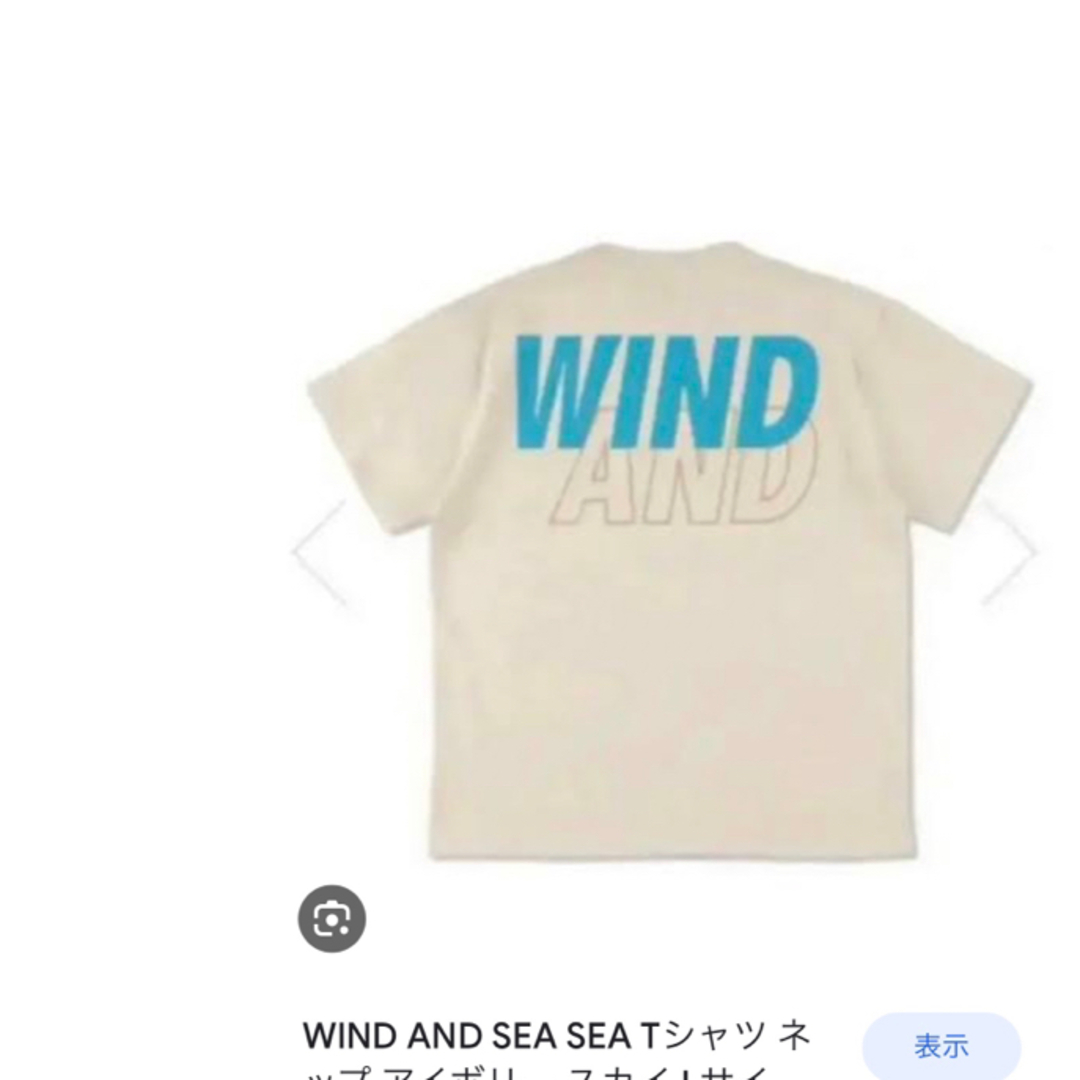 WIND AND SEA T-SHIRT Nep Ivory Sky