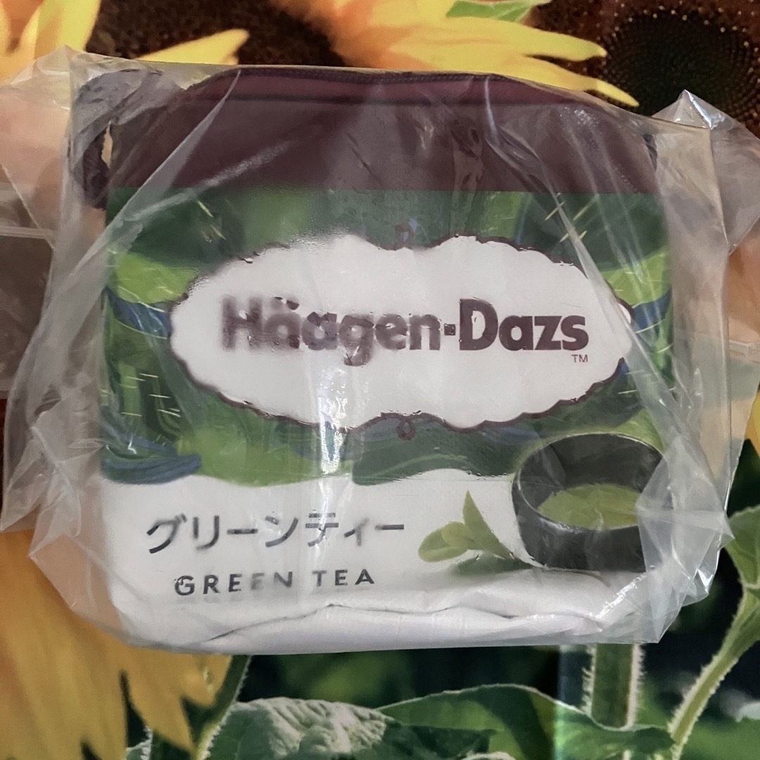 Haagen-Dazs(ハーゲンダッツ)のハーゲンダッツ クーラーバッグ グリーンティー 2023 エンタメ/ホビーのコレクション(ノベルティグッズ)の商品写真