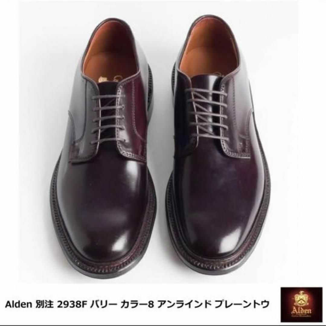 海外 希少 ALDEN 2938F アンラインド 10D コードバン #8 メンズ | bca