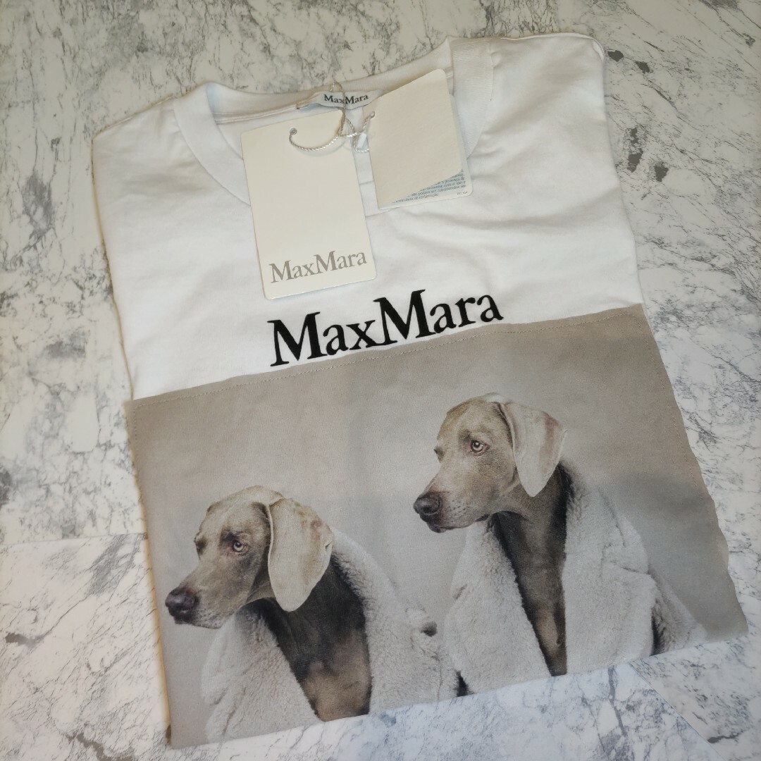 Max Mara - 【新品未使用】MAX MARA コットン オーバーサイズ Tシャツ