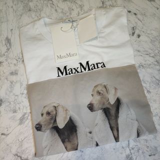 【新品未使用】MAX MARA コットン オーバーサイズ Tシャツ カラー