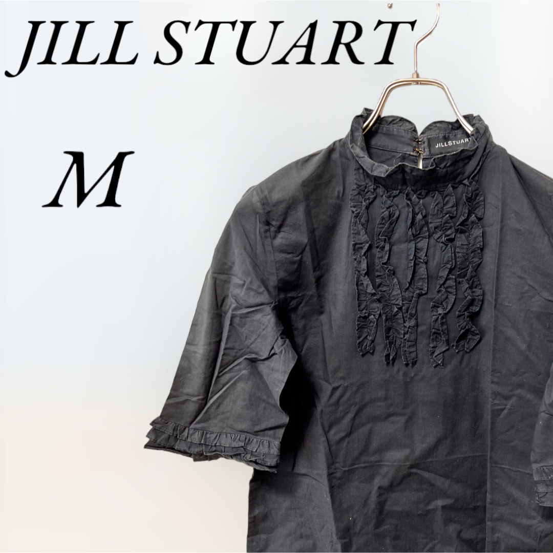 JILLSTUART(ジルスチュアート)の★綿100%★ JILL STUART ジルスチュアート　半袖トップス　Mサイズ レディースのトップス(カットソー(半袖/袖なし))の商品写真