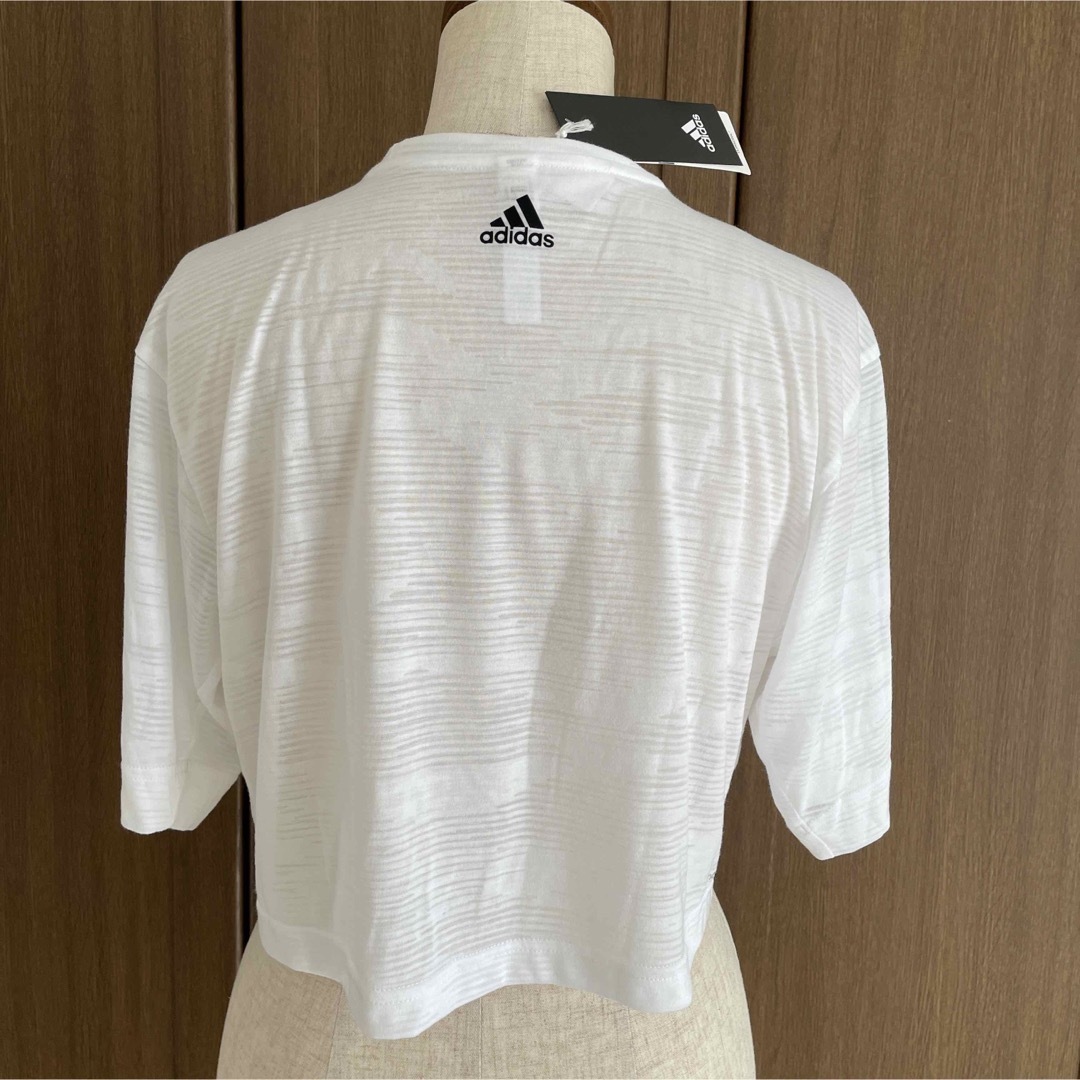 adidas(アディダス)のadidasショート丈　カットソー レディースのトップス(Tシャツ(半袖/袖なし))の商品写真