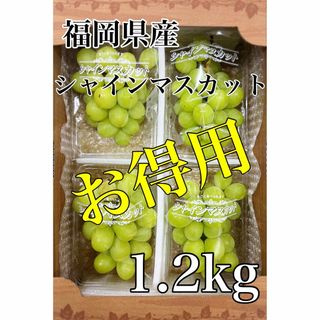 お得用！！福岡県産【シャインマスカット】4パック約1.2kg！(フルーツ)