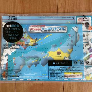 日本地図パズル(知育玩具)