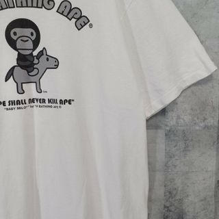 bape マロイパンダＴシャツ　Ｍ