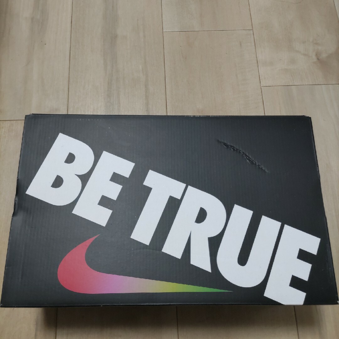 Nike Cortez "Be True" ナイキ コルテッツ　スニーカー 9