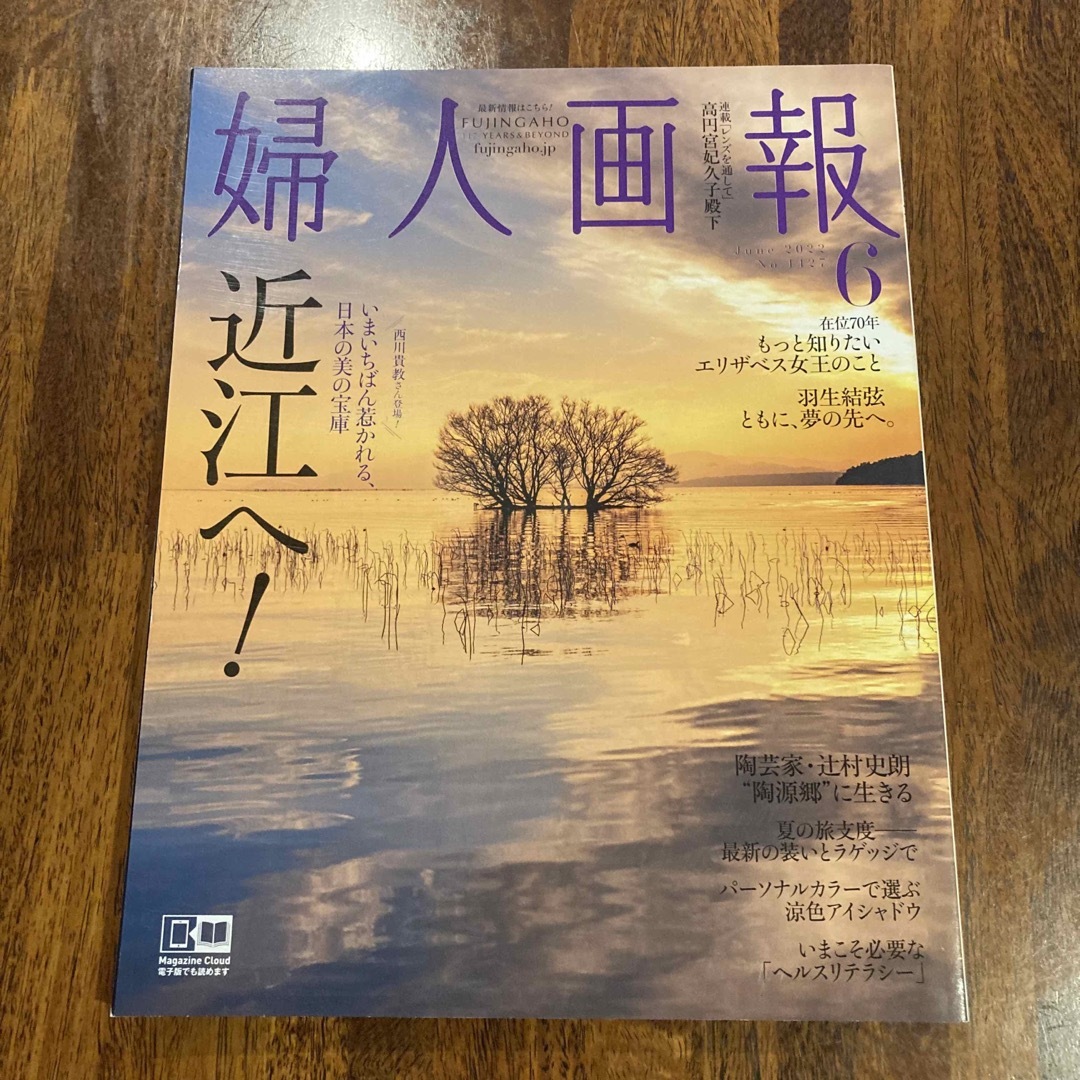 講談社(コウダンシャ)の婦人画報 2022年 06月号 エンタメ/ホビーの雑誌(その他)の商品写真