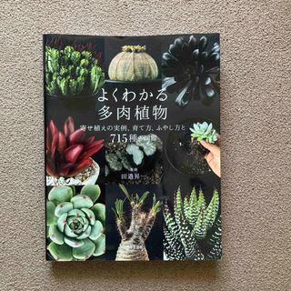 お値下げ‼️よくわかる多肉植物 寄せ植えの実例、育て方・ふやし方と７１５種の図鑑(趣味/スポーツ/実用)