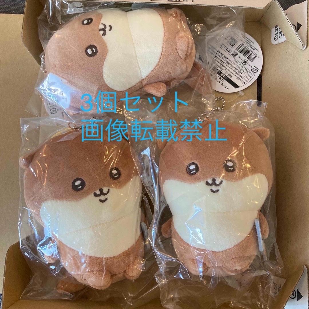 カワウソくじ D賞x3つセット www.sudouestprimeurs.fr