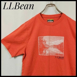 エルエルビーン(L.L.Bean)のエルエルビーン　半袖Ｔシャツ　ビッグプリント　デカロゴ　ネイチャー　自然　ロゴＴ(Tシャツ/カットソー(半袖/袖なし))