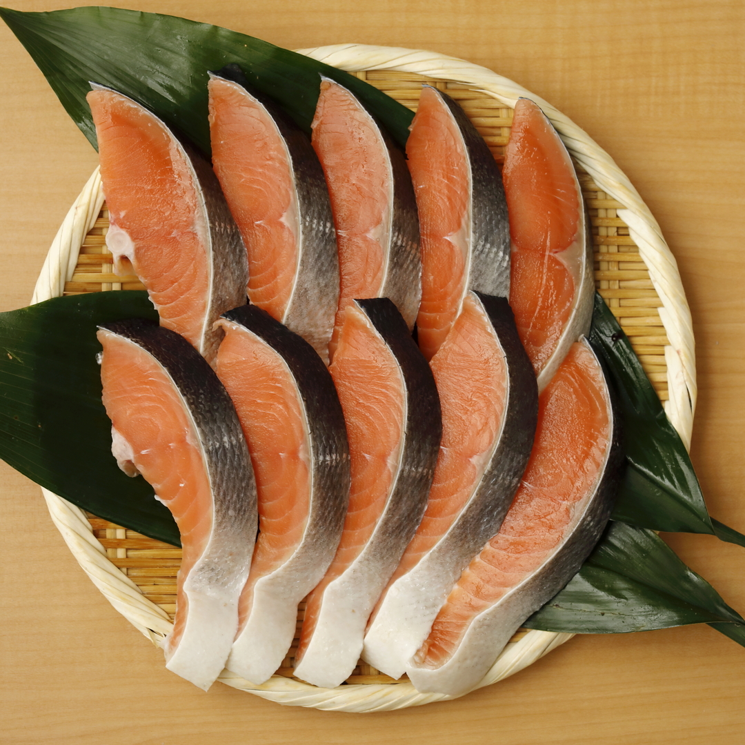 最高級！北海道産時鮭（10切）　時鮭は天然鮭の王様。近年、入手が難しい高級鮭を！