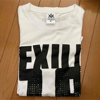 エグザイル(EXILE)のAMAZING WORLD 19シリーズ Tシャツ(国内アーティスト)