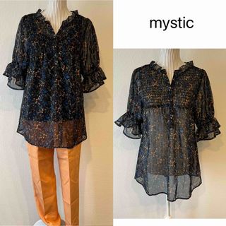 ミスティック(mystic)の【美品】mystic.花柄シースルーブラウス(カットソー(半袖/袖なし))