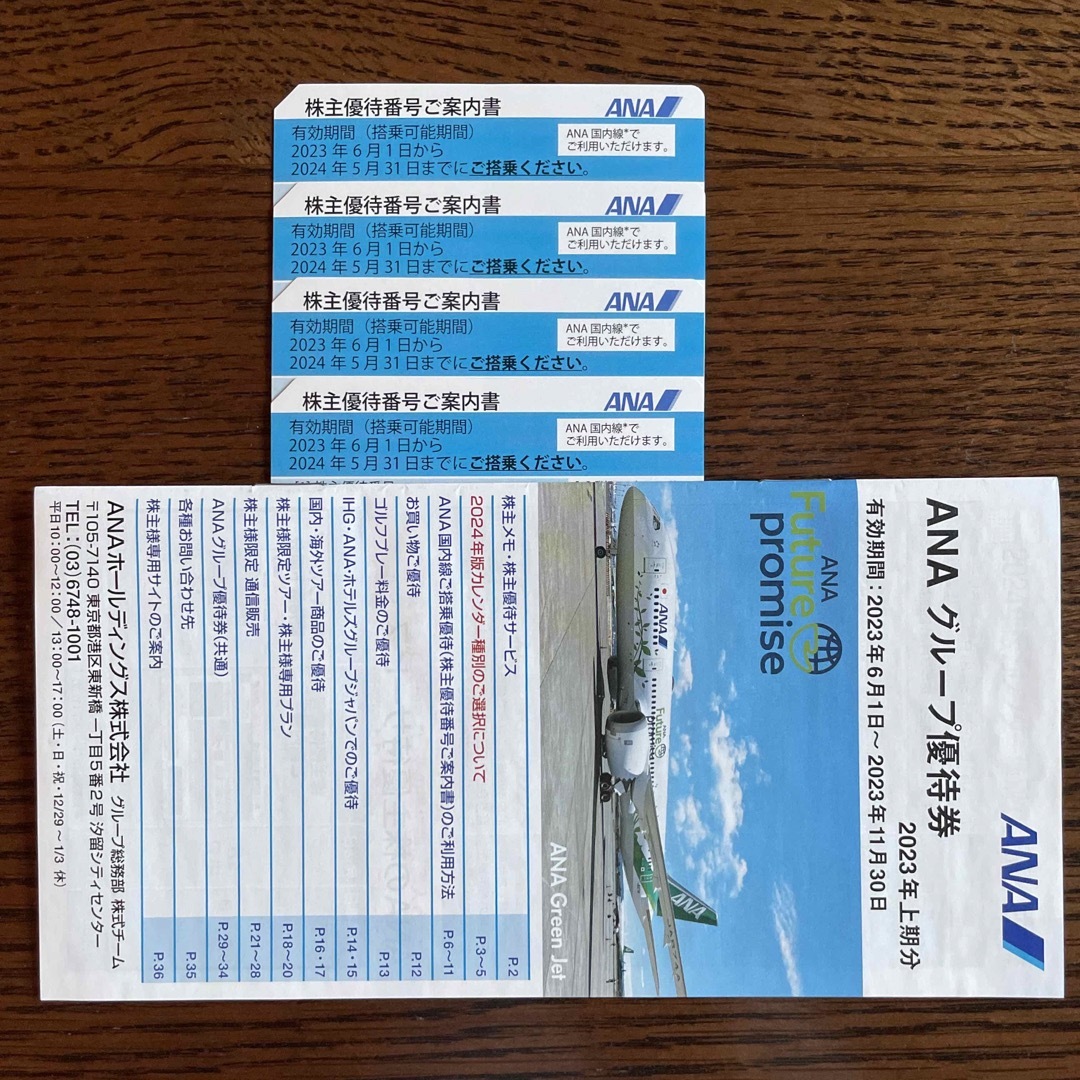南海 株主優待定期券 南海 株主優待定期券