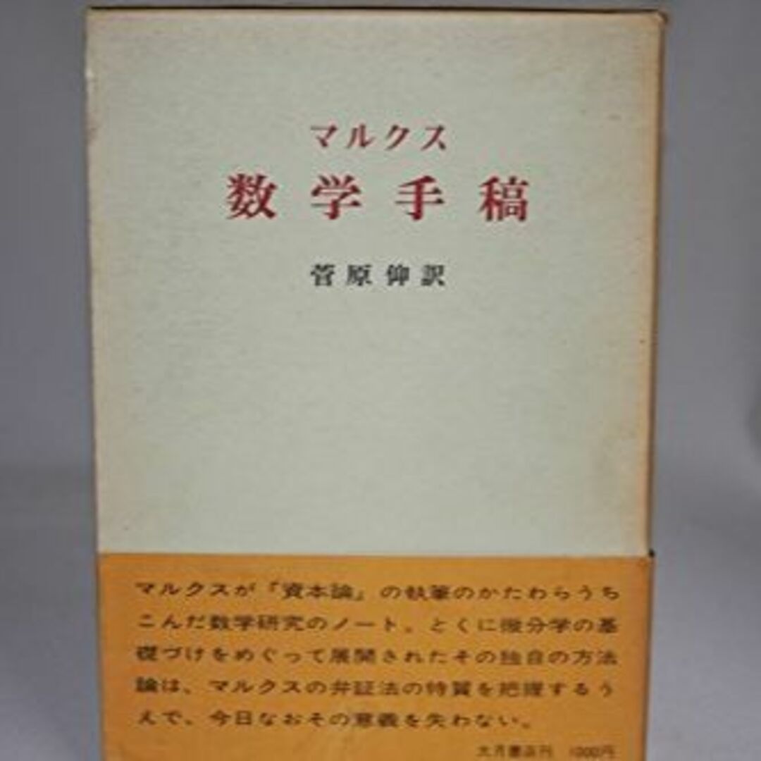 数学手稿 (1973年)