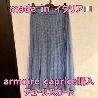 アーモワールカプリス(armoire caprice)のドットチュールプリーツスカート(ロングスカート)