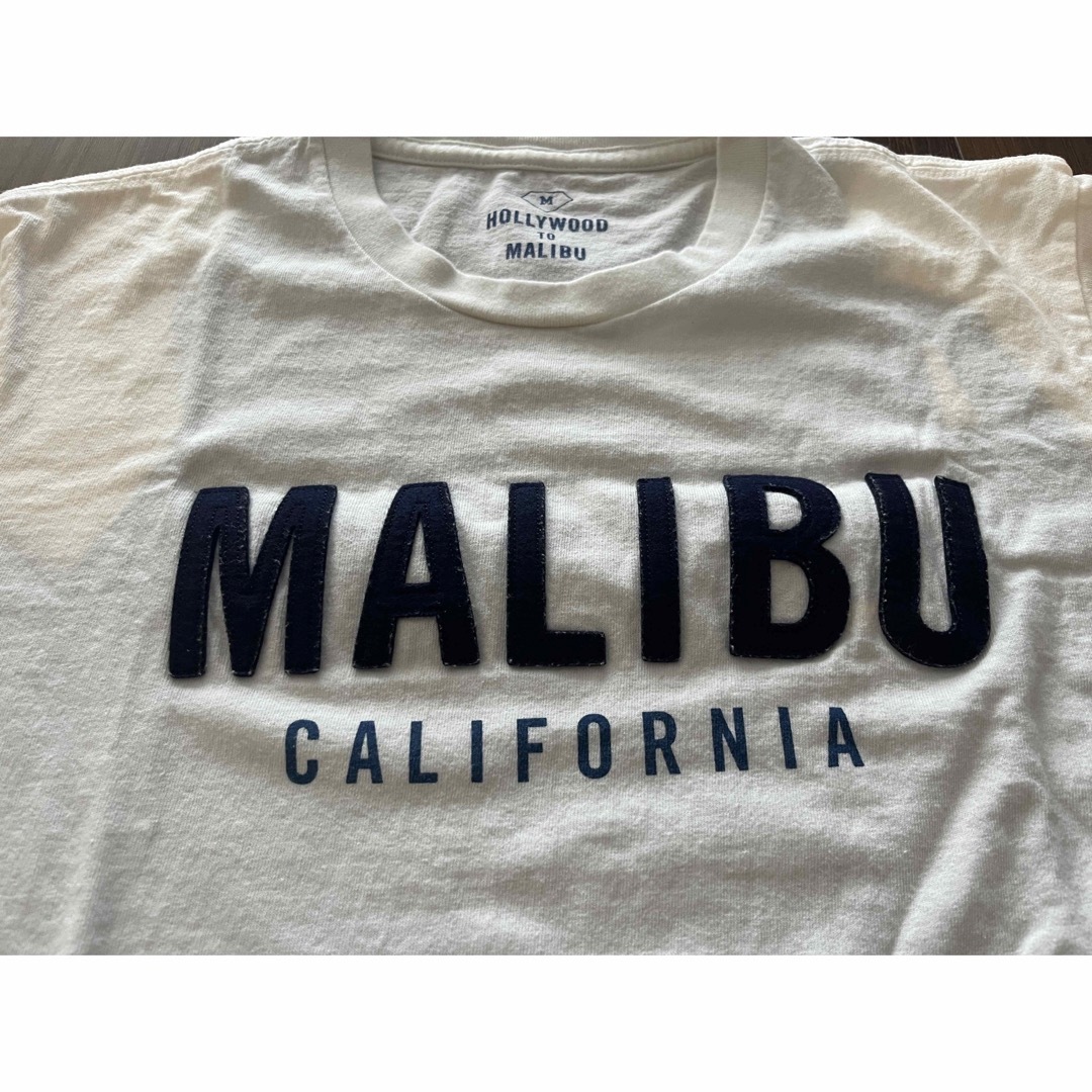 ロンハーマン HOLLYWOOD TO MALIBU  Tシャツ M