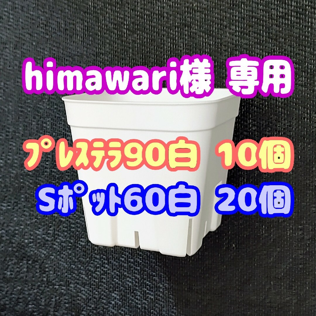 【スリット鉢】プレステラ90白10個 他 多肉植物 プラ鉢 ハンドメイドのフラワー/ガーデン(プランター)の商品写真