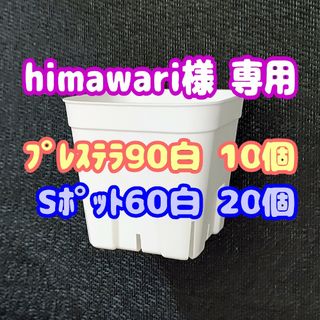 【スリット鉢】プレステラ90白10個 他 多肉植物 プラ鉢(プランター)