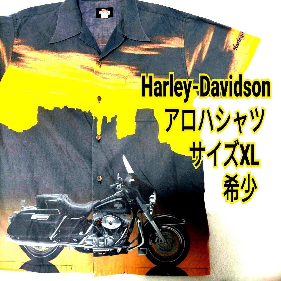 希少 激レアHARLEY-DAVIDSON ハーレーダビッドソン 夕日 半袖 シ