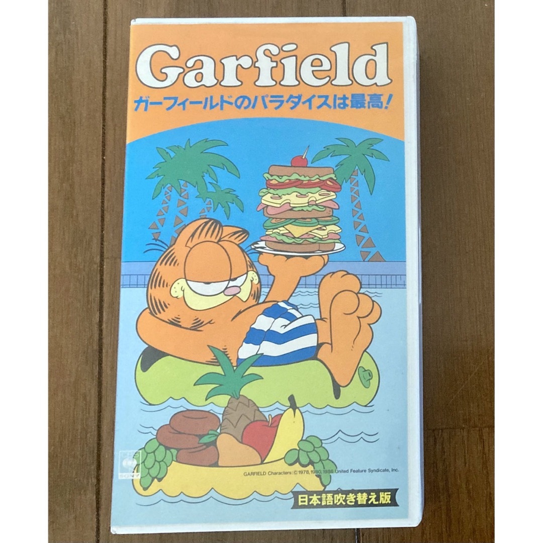 ガーフィールドのパラダイスは最高！ Garfield 日本語吹替版VHS ビデオジムデイヴィス