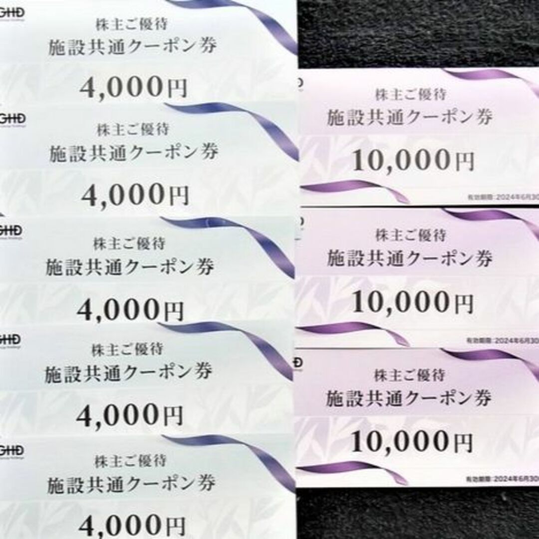 飯田グループ株主優待　施設共通クーポン　50000円分　江の島アイランドスパ他飯田