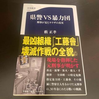 県警ＶＳ暴力団刑事が見たヤクザの真実(その他)